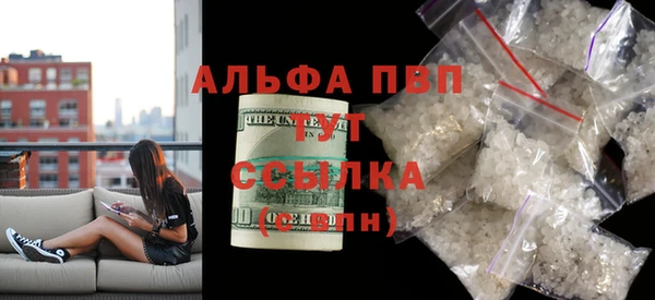 прущие грибы Абдулино