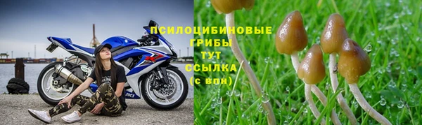 герыч Рославль
